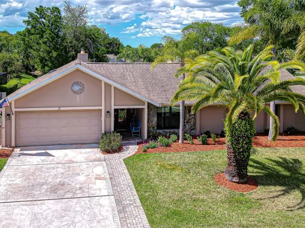 20 Fernbrook Rd, Oldsmar, FL 34677