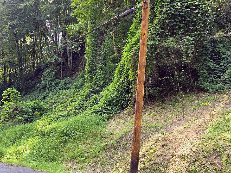 1st image of LOT 39 Black Walnut Flats Rd
