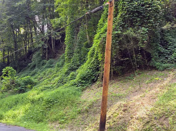 LOT 39 Black Walnut Flats Rd, Sevierville, TN 37862