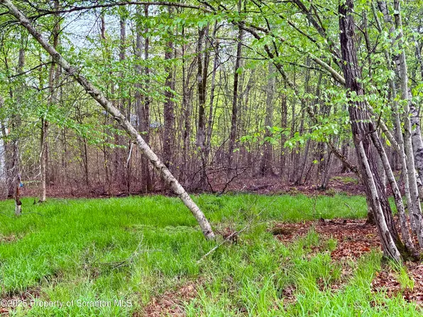 355 Fir Ln, Gouldsboro, PA 18424