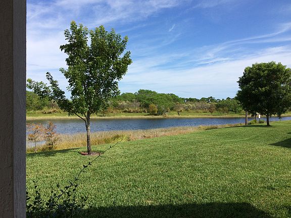 View from Patio