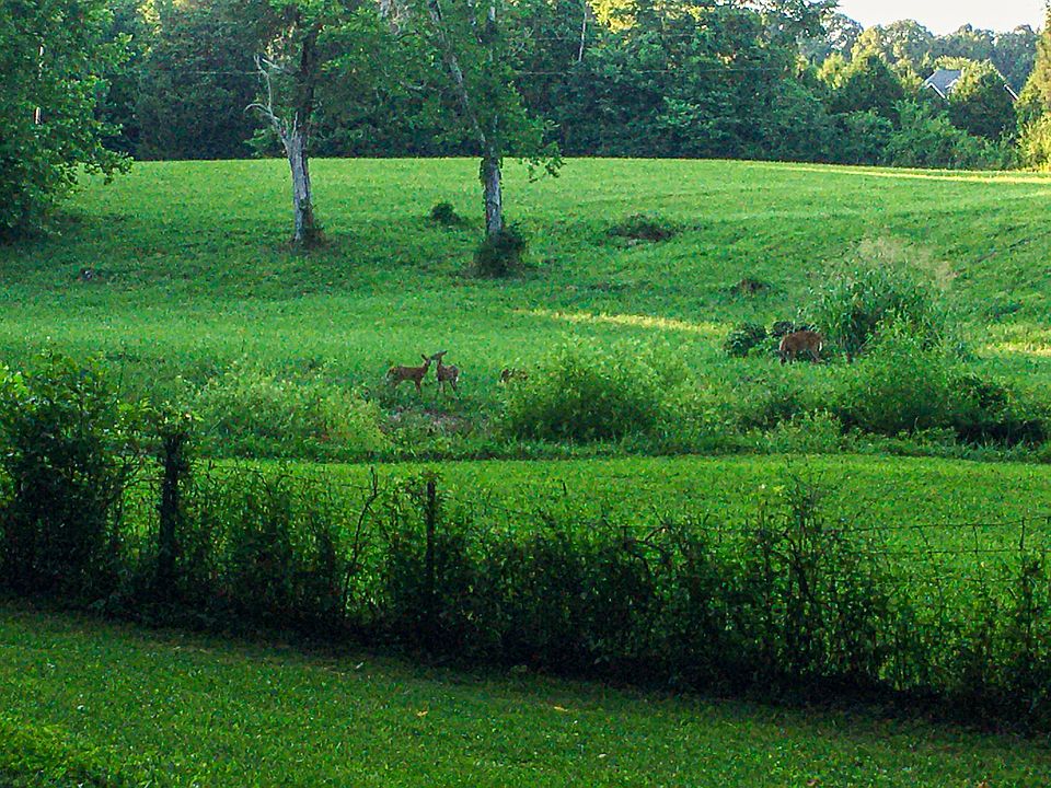 0 Nails Creek Rd, Dickson, TN 37055 Zillow