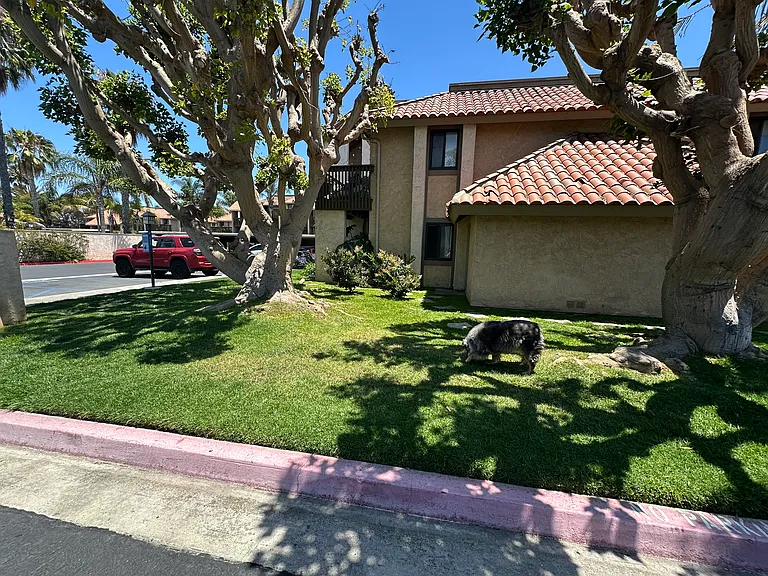 7668 Baypoint Dr #101 — Photo 23