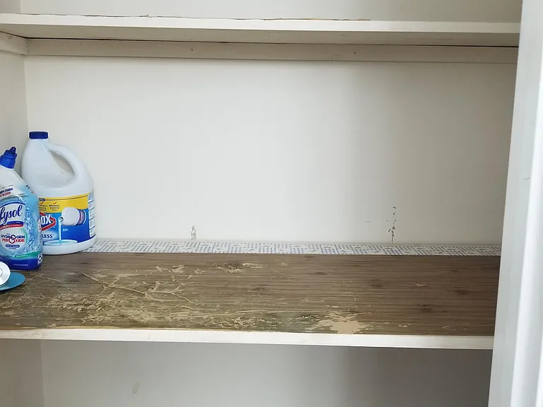 Spacious Bathroom closet