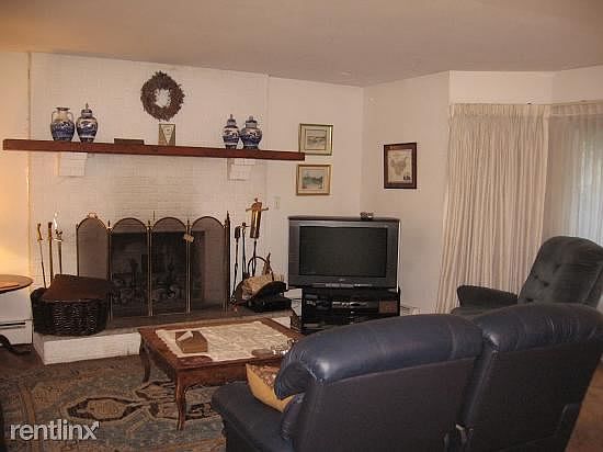 Living room fireplace