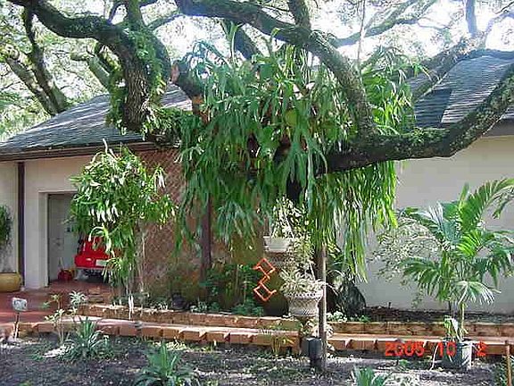 Detached Garage 852 sq. ft.