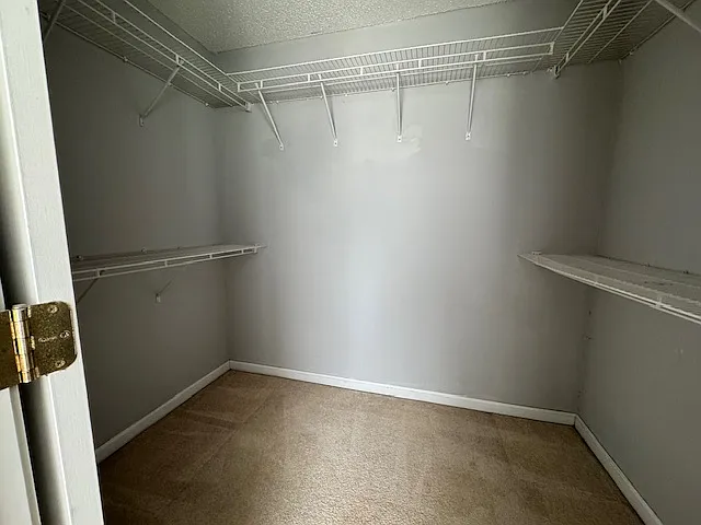 125 Hatchbend Ct — Photo 14