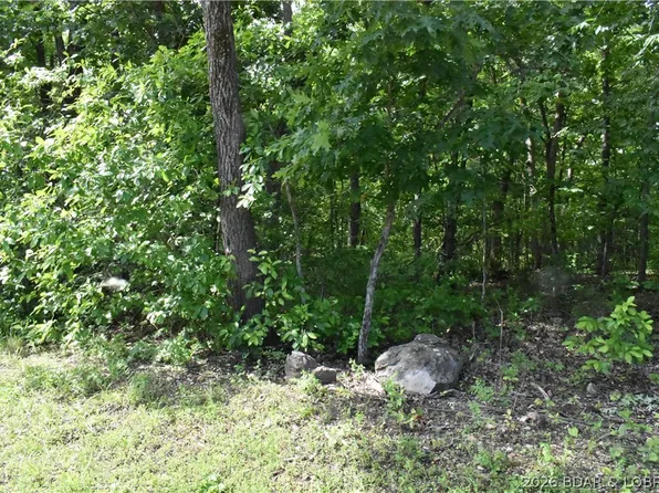 100 Horseshoe Bend Pkwy, Lake Ozark, MO 65049