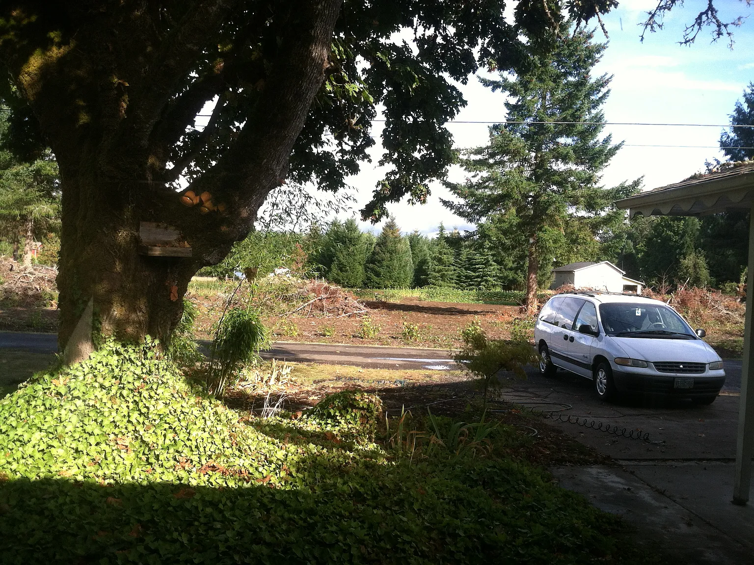 2 bed, 900 sqft, $1,600 — Photo 2