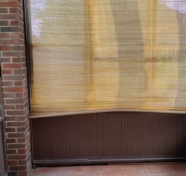 W Buena Vista St — Photo 10