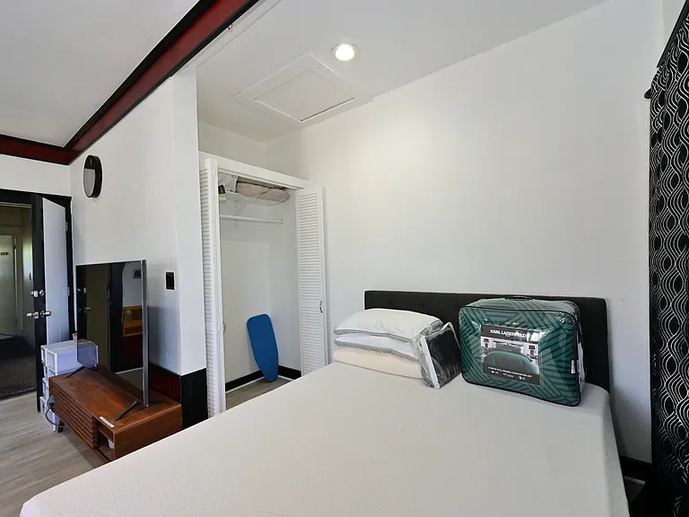 Fully Furnished & Updated LARGE and BRIGHT Studio w/ in-unit laundry + private balcony + parking