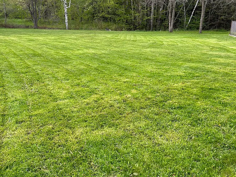 8 Elite Rd — Photo 14