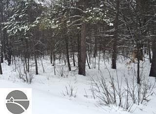 3rd image of 0 N Us Highway 131