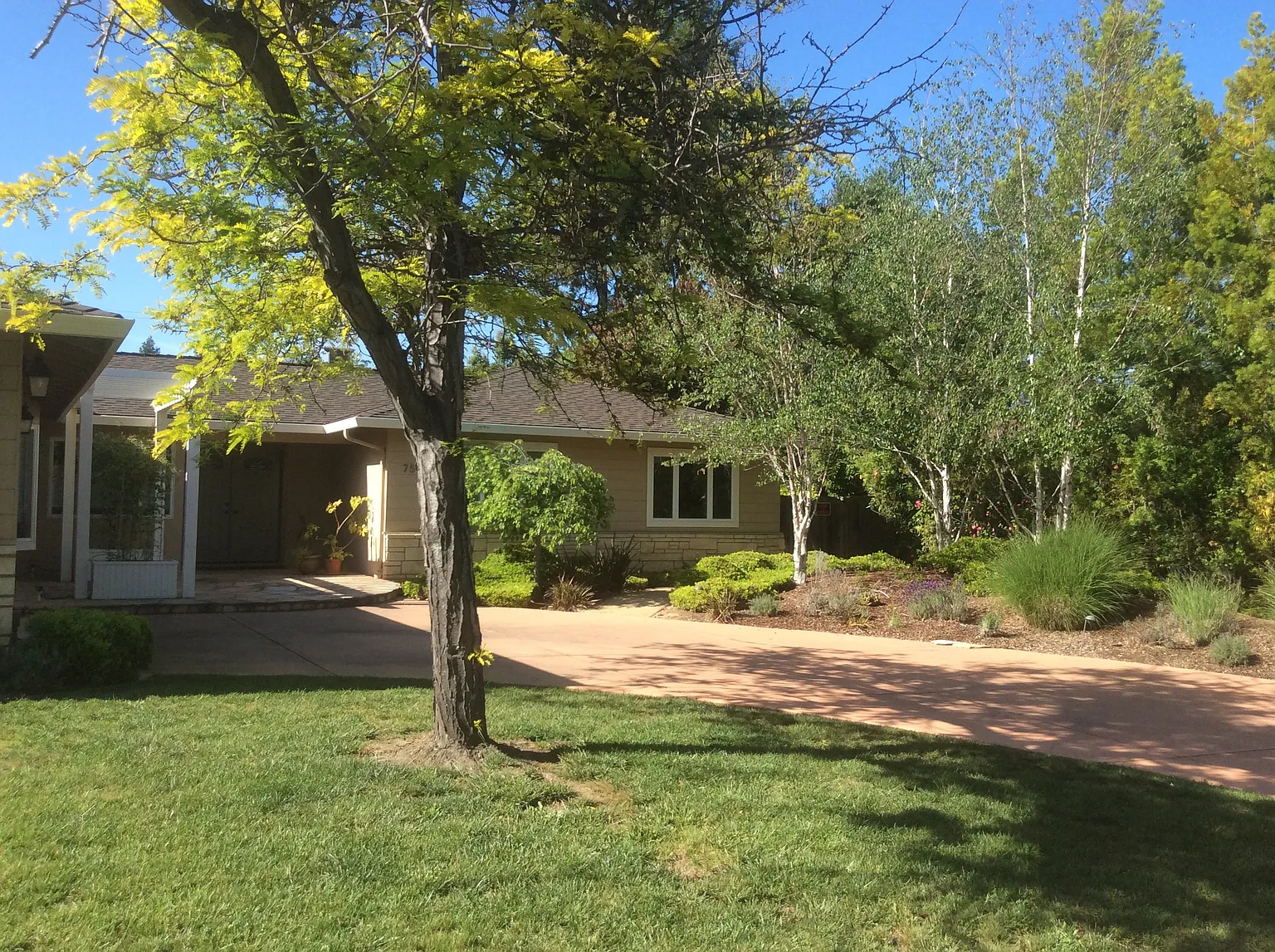 7543 Fallenleaf Ln photo 1