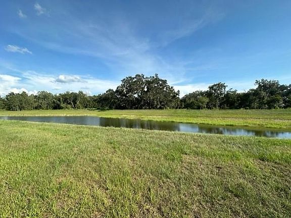 Bell Creek Natural Preservation River at back of house