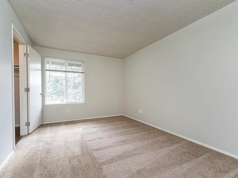 1 Bedroom Standard 1 Bedroom Standard