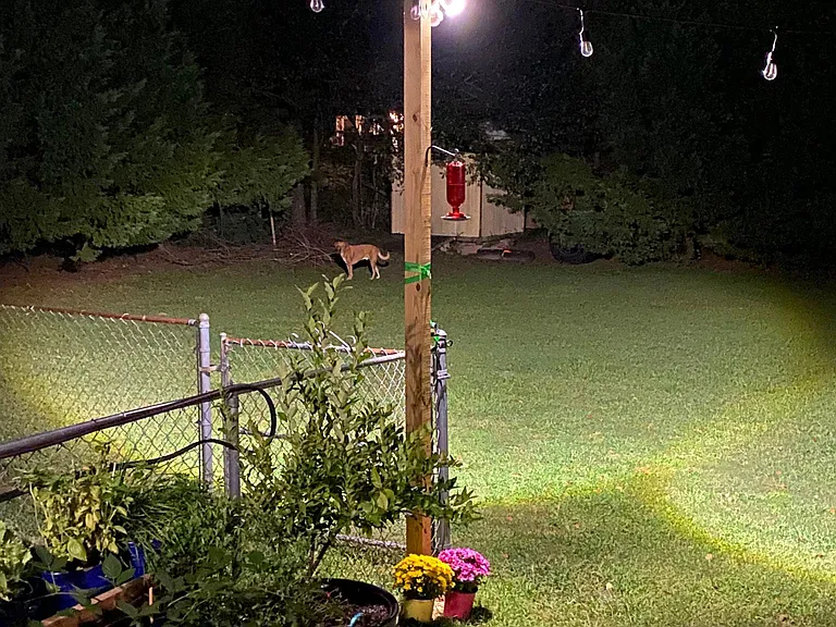 Overbrook Area — Photo 17