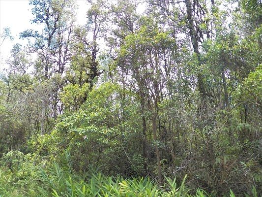 1st image of Pueo St Lot 20