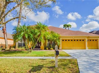 19515 French Lace Dr, Lutz, FL 33558