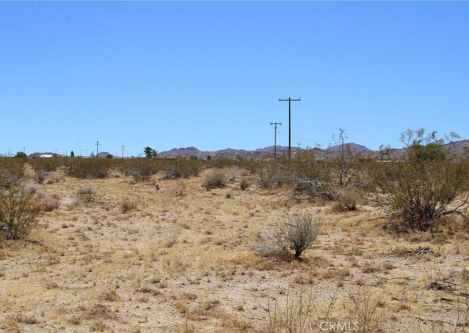 1st image of Joshua Tree Rd