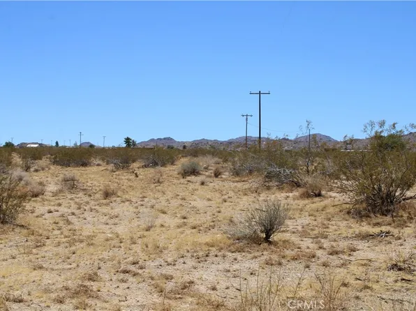 Joshua Tree Rd, Johnson Valley, CA 92285