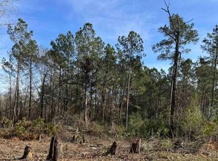 5850 Alford Oaks Dr, Beaumont, TX 77713