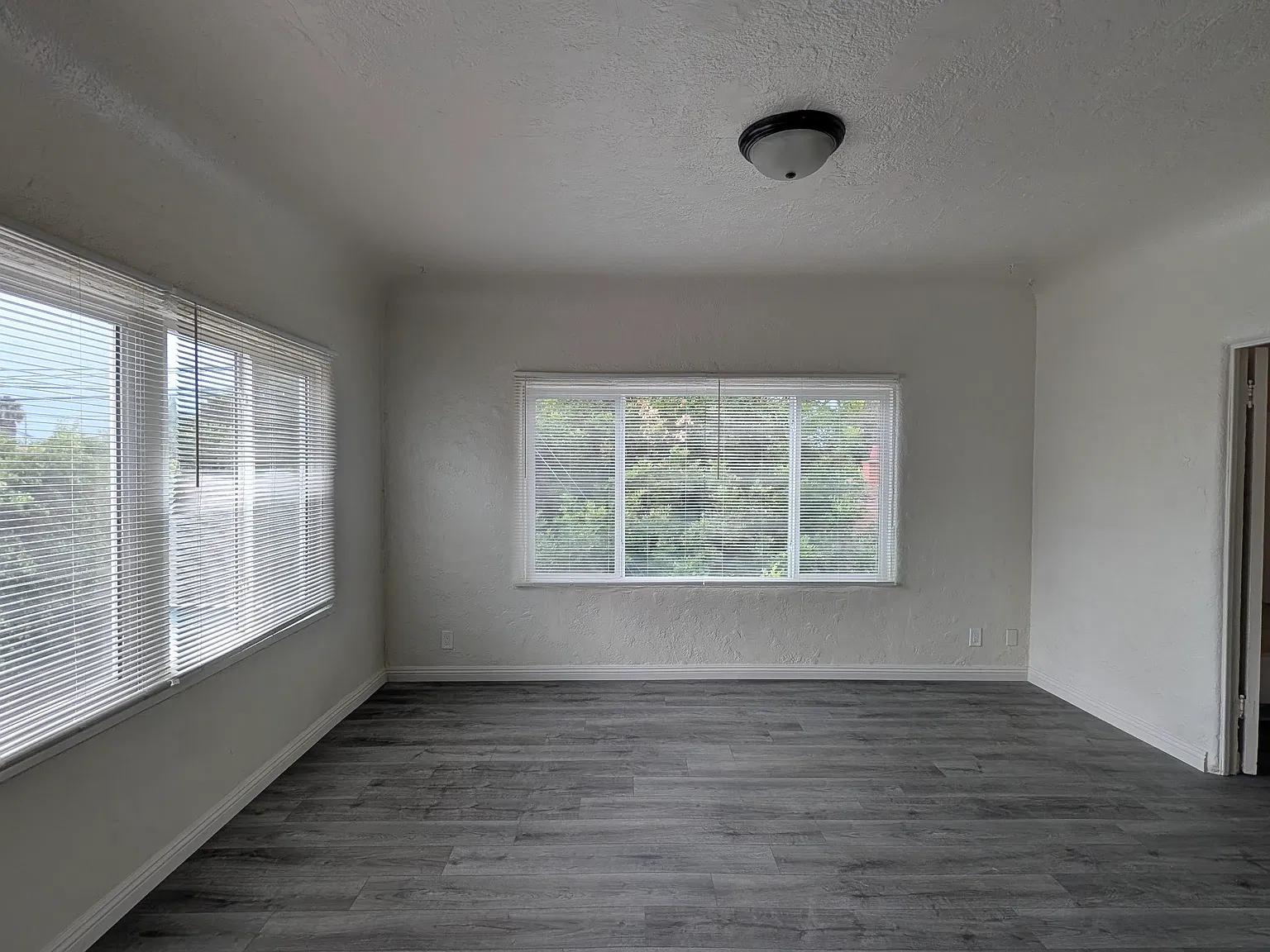 Studio, $1,600 — Photo 3