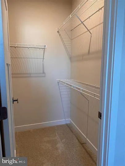 66 Glory Maple Ln — Photo 4