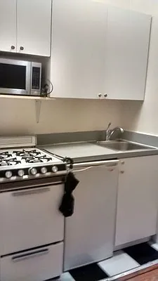 Rented by Manhattan Flats | media 16