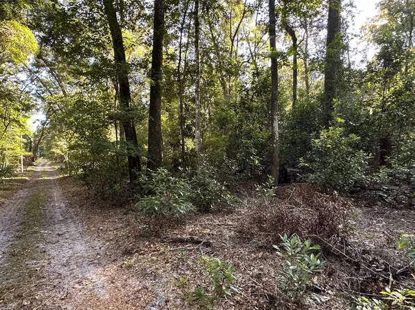 0 NE 125th Ln, Branford, FL 32008