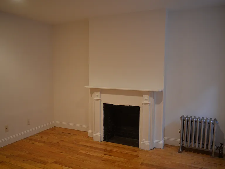 347 E 65th St #3RW — Photo 4