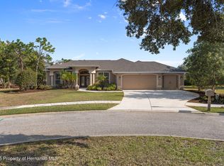 13097 Pastore Ct, Spring Hill, FL 34609