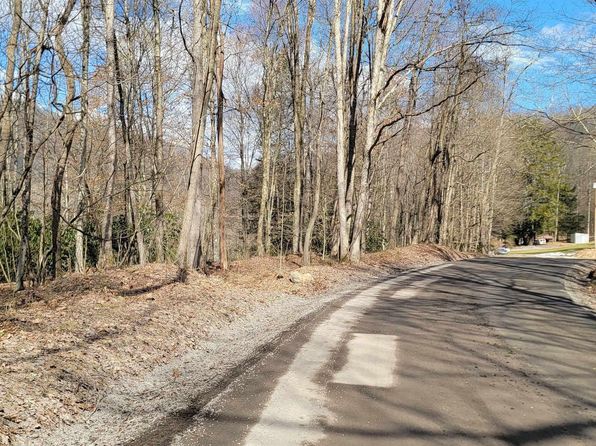 1711 Saltlick Rd, Rowlesburg, WV 26425