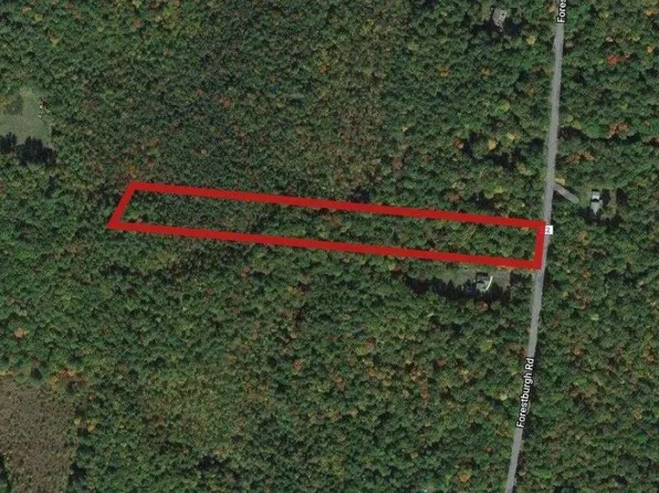 0 Forestburgh Road, Lumberland, NY 12737