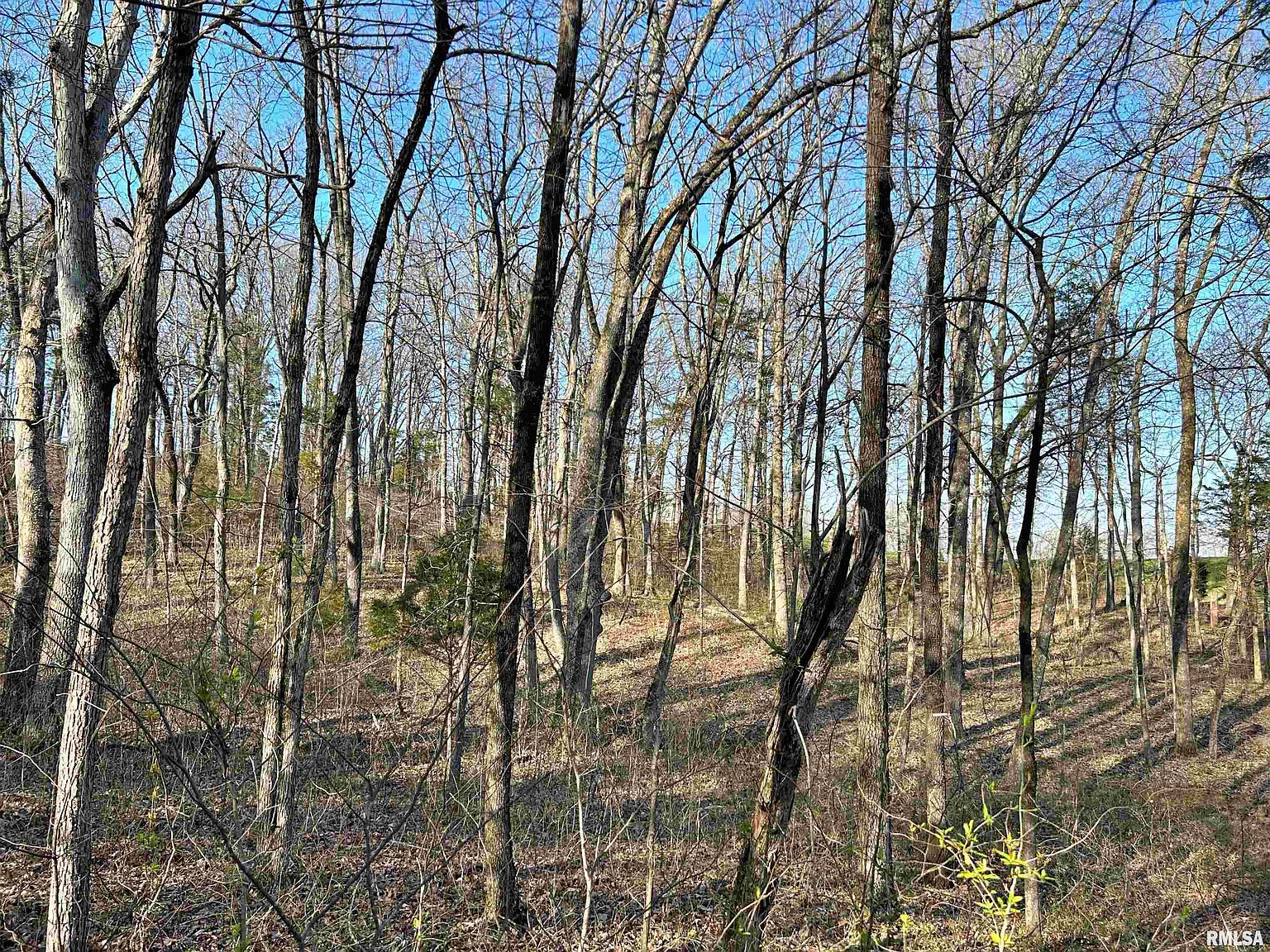 Bushwack Rd, Golconda, IL 62938 MLS EB448328 Zillow