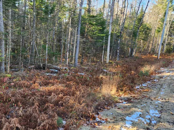 30D Chase Road, Sandwich, NH 03259