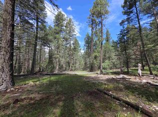 239 Dry Canyon Rd, Cloudcroft, NM 88317