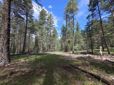 239 Dry Canyon Rd, Cloudcroft, NM, 88317