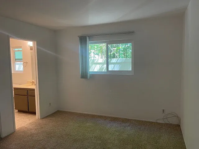 2806 Cacatua St #C — Photo 13