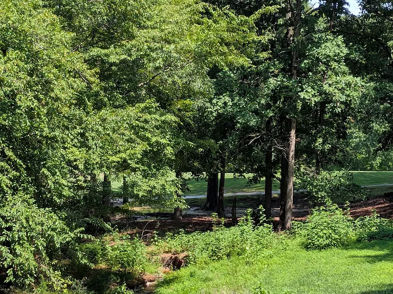 View towards fairway including stream area from deck.