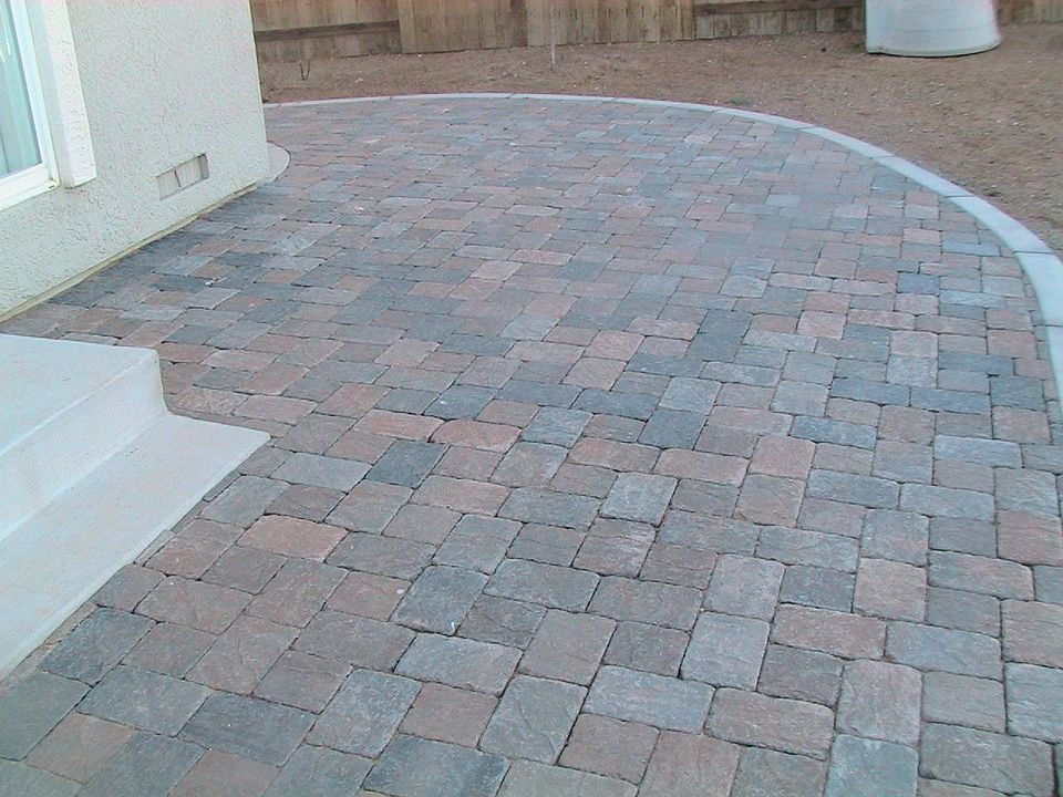 this is the back yard