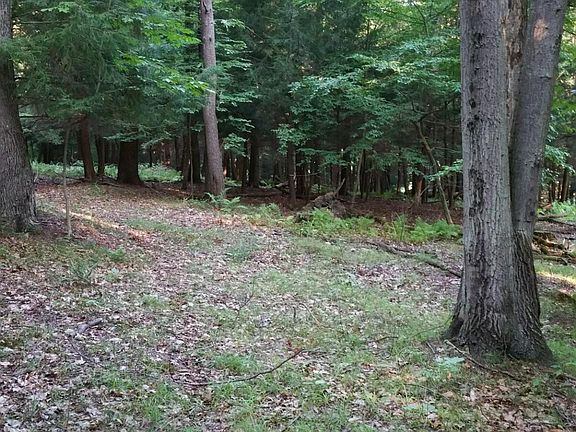 2nd image of 0 E Lake Rd
