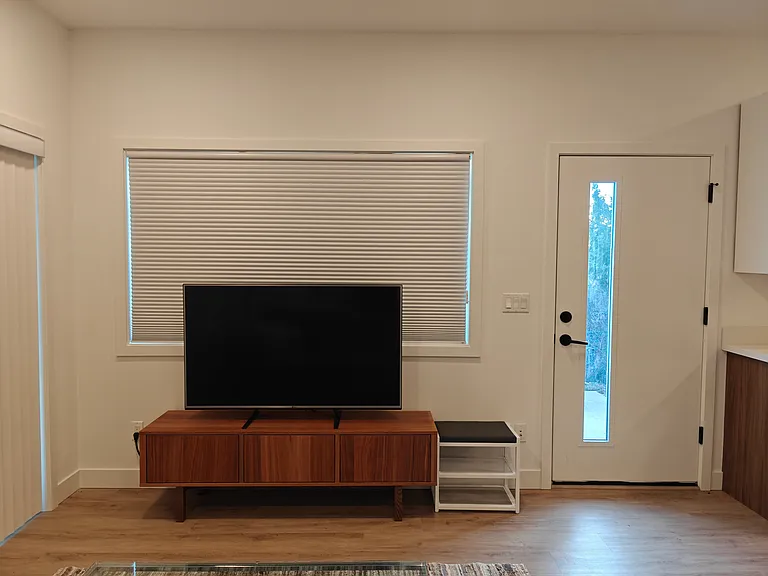 55" LG TV and shoe rack.