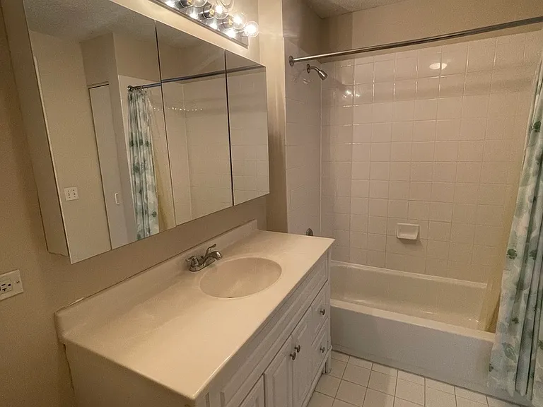 545 N Dearborn St #2008 — Photo 12