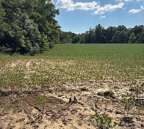2nd image of 0 Calvary Rd