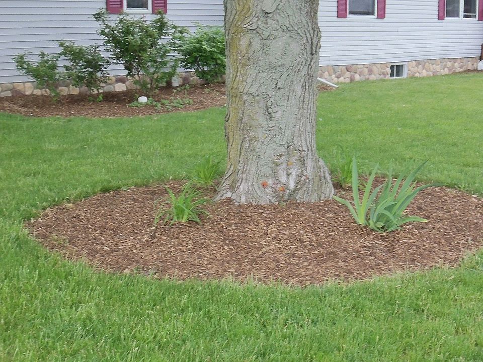 front yard