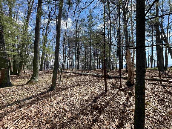 3rd image of 7448 Lake Bluff 19.4 Rd