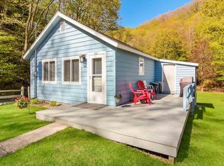 361 Crapo St, Elberta, MI 49628