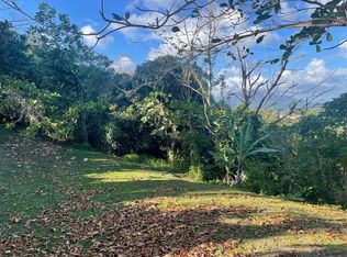 Bo Collores Calle #924, Humacao, PR 00791