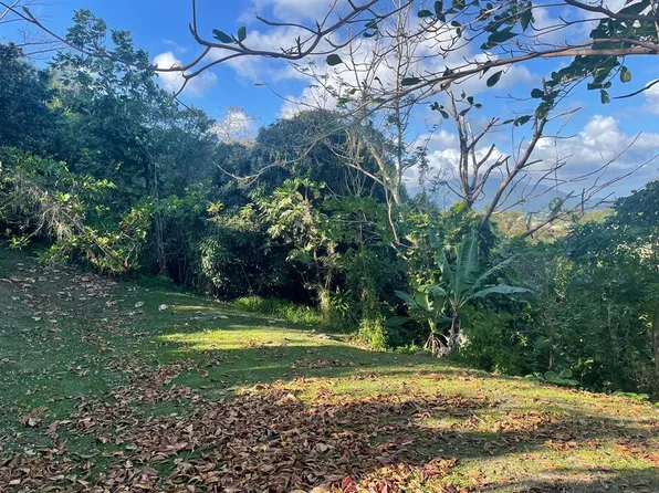 Bo Collores Calle #924, Humacao, PR 00791